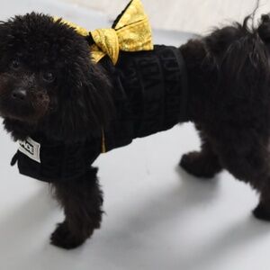 Dog Versace Robe